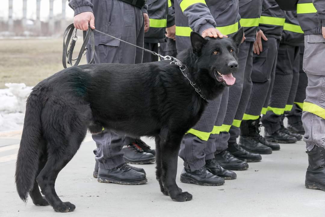 România a răspuns apelului de sprijin venit din partea Turciei