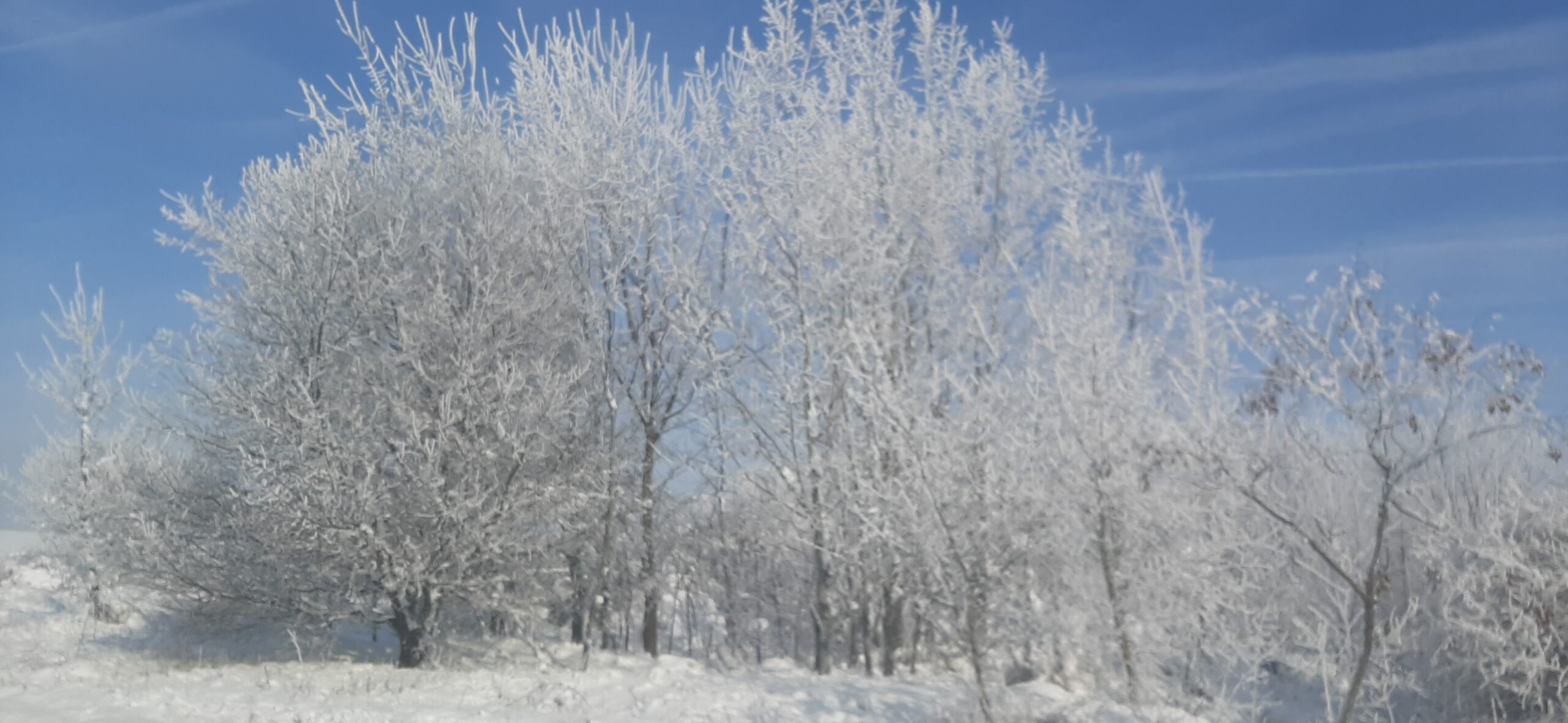 Furtuna Isha va lovi România, meteorologii anunță în continuare temperaturi scăzute, viscol și ninsori