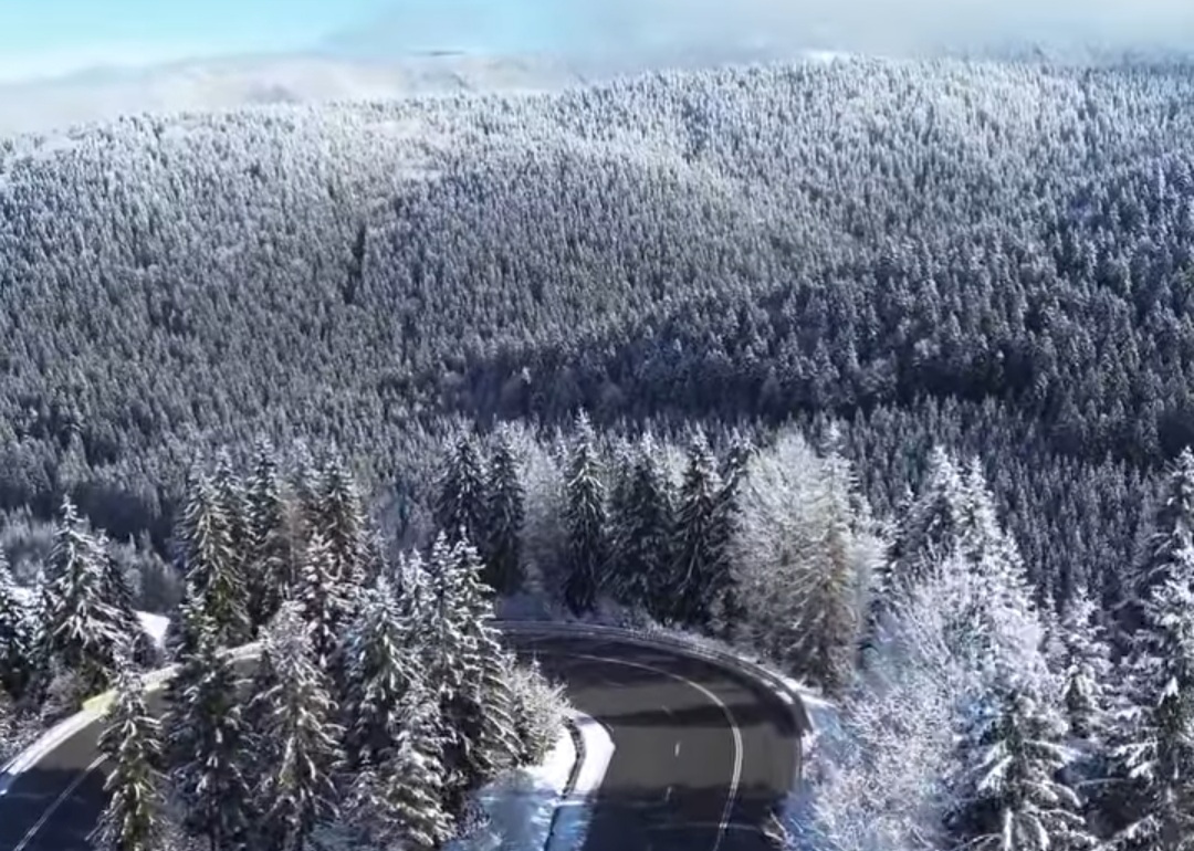 Peisaje care îți taie respirația, iarna în Bucovina este o poveste de neuitat, un loc unde natura și tradițiile se împletesc într-un peisaj de vis.