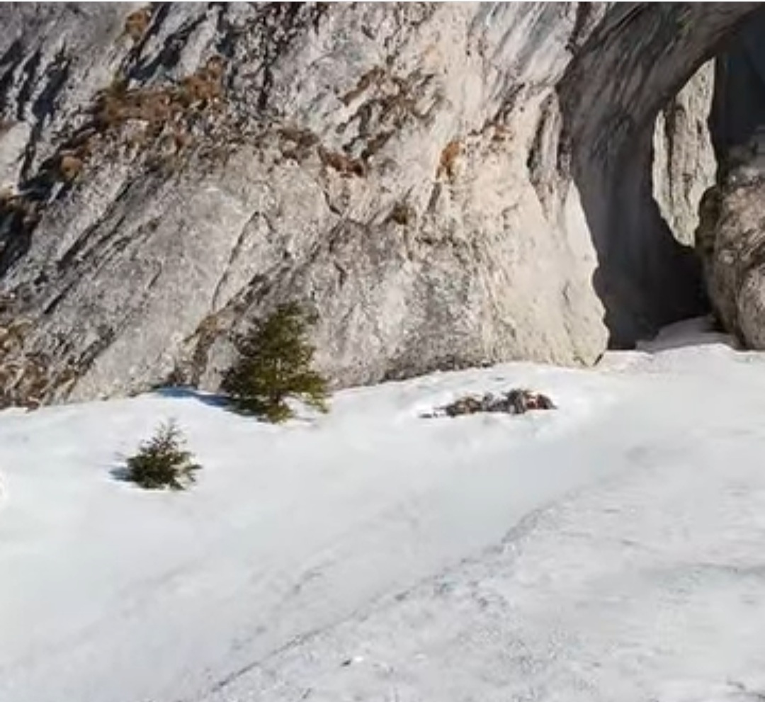 Piatra Craiului, în inima Munților Carpați, Parcul Natural Piatra Craiului continuă să atragă iubitorii de natură și aventură, oferind unele dintre cele mai spectaculoase peisaje din România.