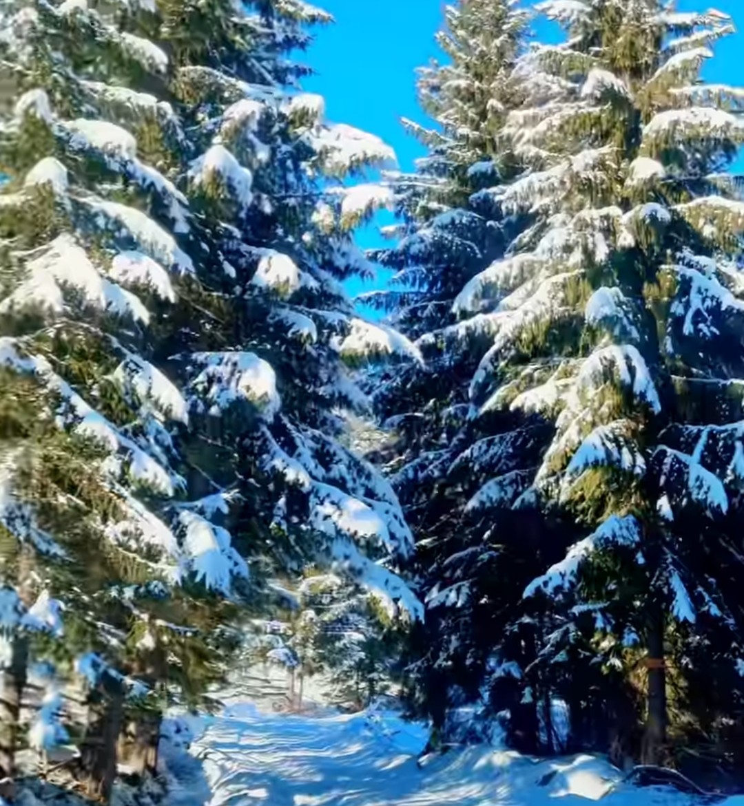 Iarna a ajuns în forță în multe colțuri ale țării, transformând peisajele într-un adevărat tablou de vis. În zonele montane, zăpada a căzut din belșug