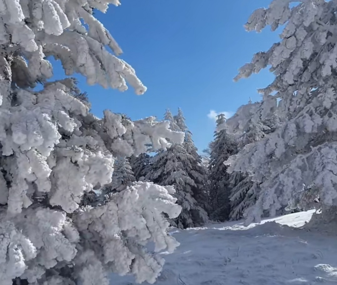 O poveste magică în mijlocul iernii, când zăpada acoperă pajiștile și pădurile, Schitul Muntioru din Vintileasca, județul Vrancea, devine un loc de liniște și pace.