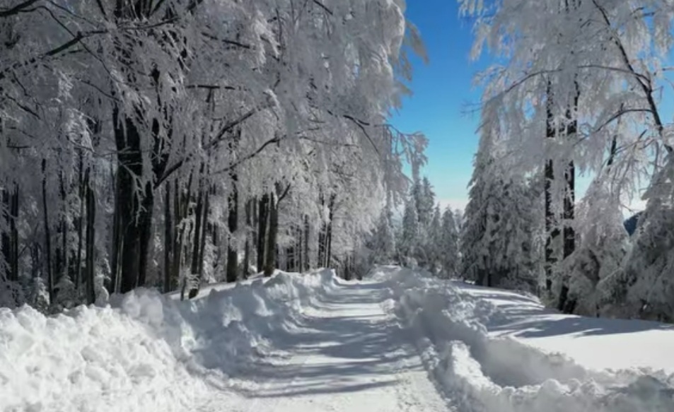 Vrancea, un colț de rai, în inima Munților Vrancei, unde natura pare să își păstreze farmecul neschimbat de veacuri, se află un loc de o frumusețe rară