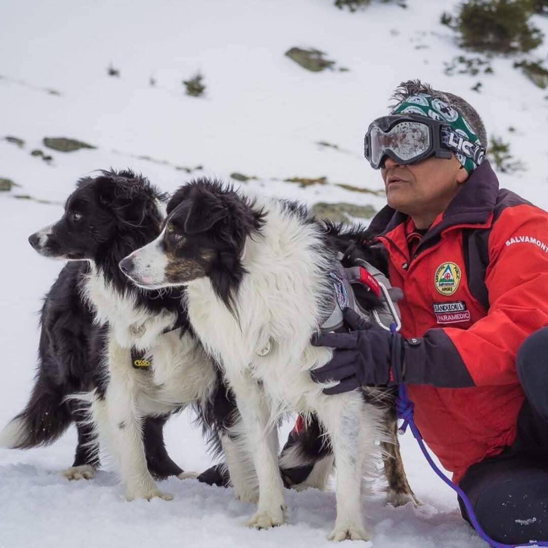 Salvamont România: Unitățile Canine reconfirmă bretelele de căutare în avalanșă și mediu natural , în cadrul unei evaluări riguroase desfășurate în munții Făgăraș. unitățile canine Salvamont din întreaga